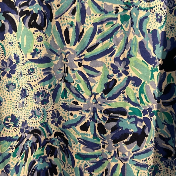 NWT Lilly Pulitzer Carlie dress size XL in High Maintenance Print - Picture 5 of 6